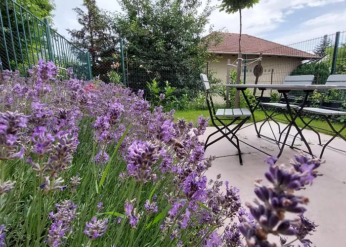 Miniszilva Apartman
